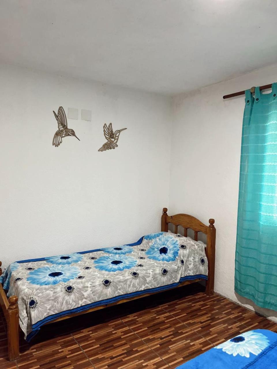 Villa La Isolina Villa Giardino Kültér fotó