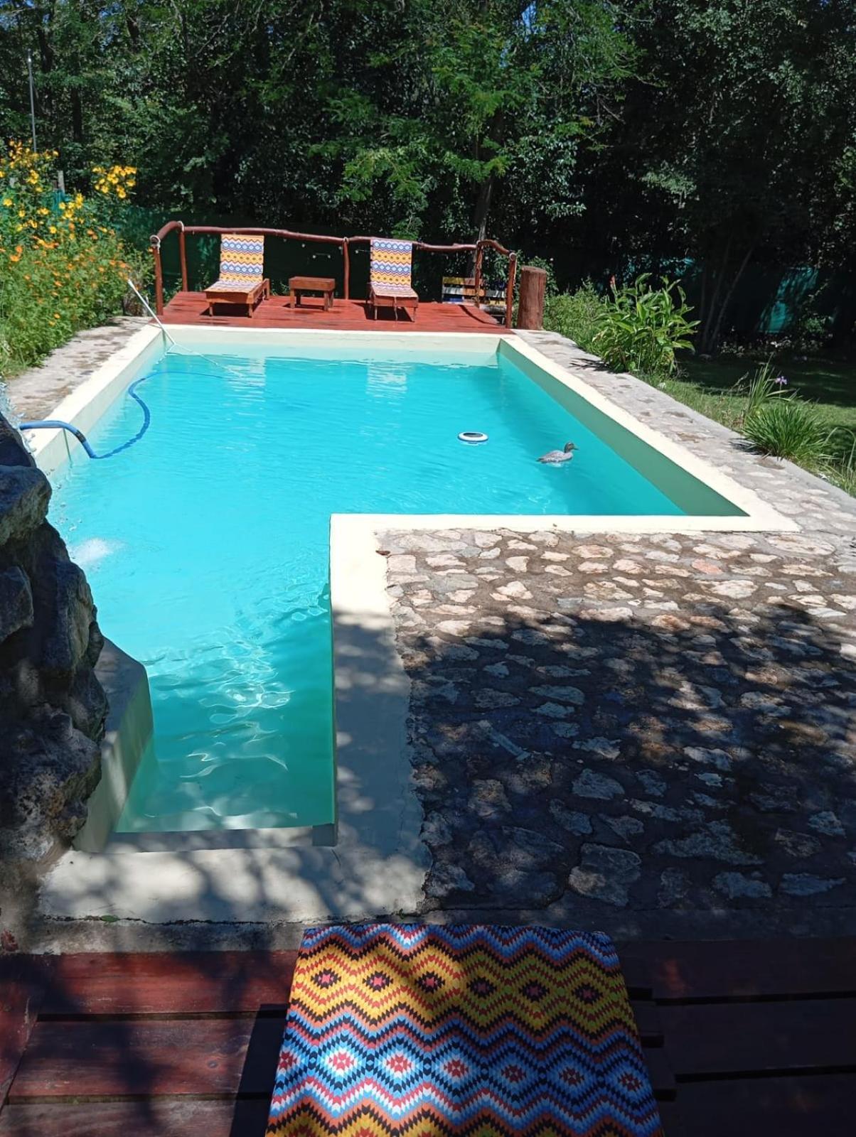Villa La Isolina Villa Giardino Kültér fotó