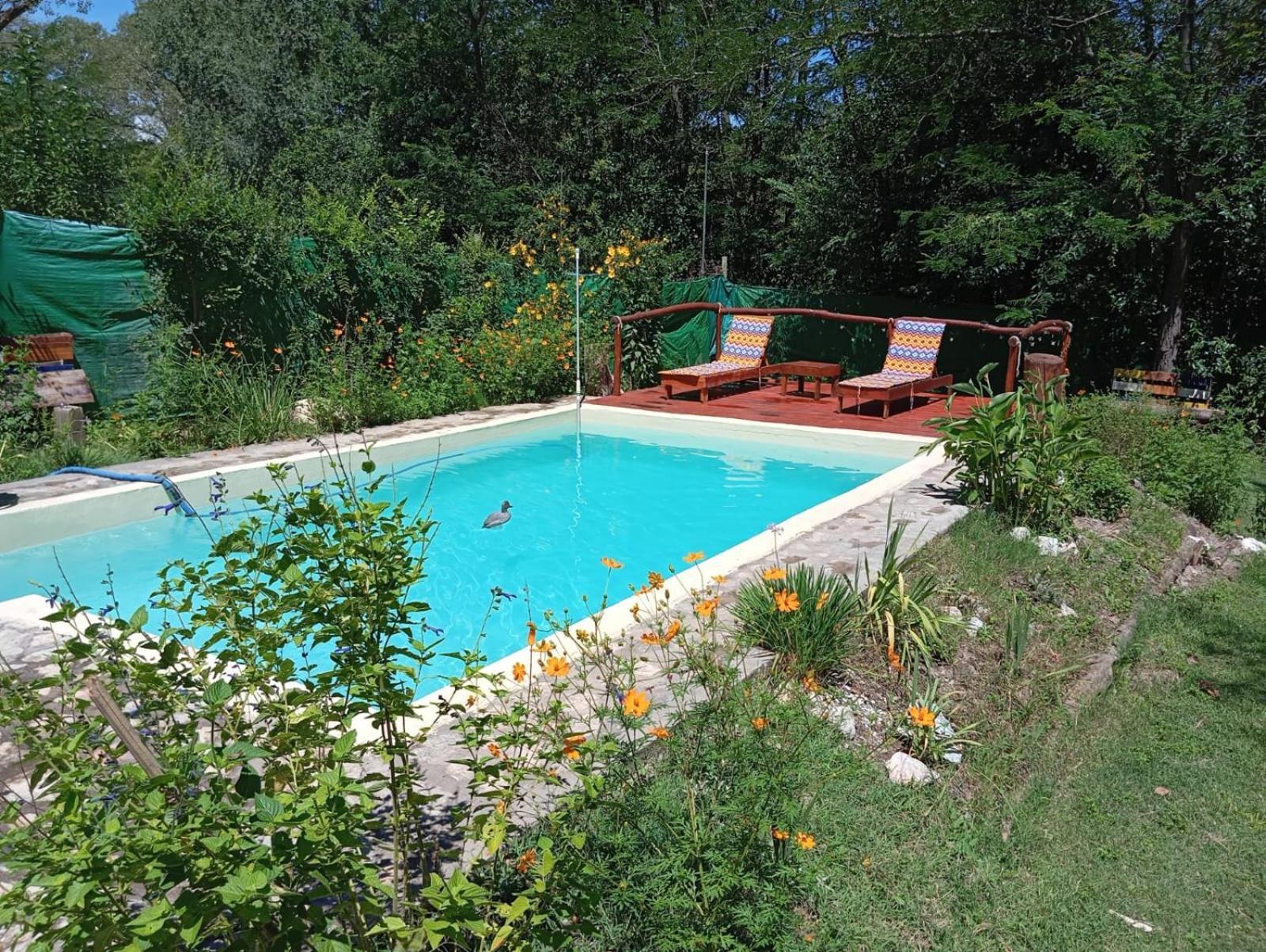 Villa La Isolina Villa Giardino Kültér fotó
