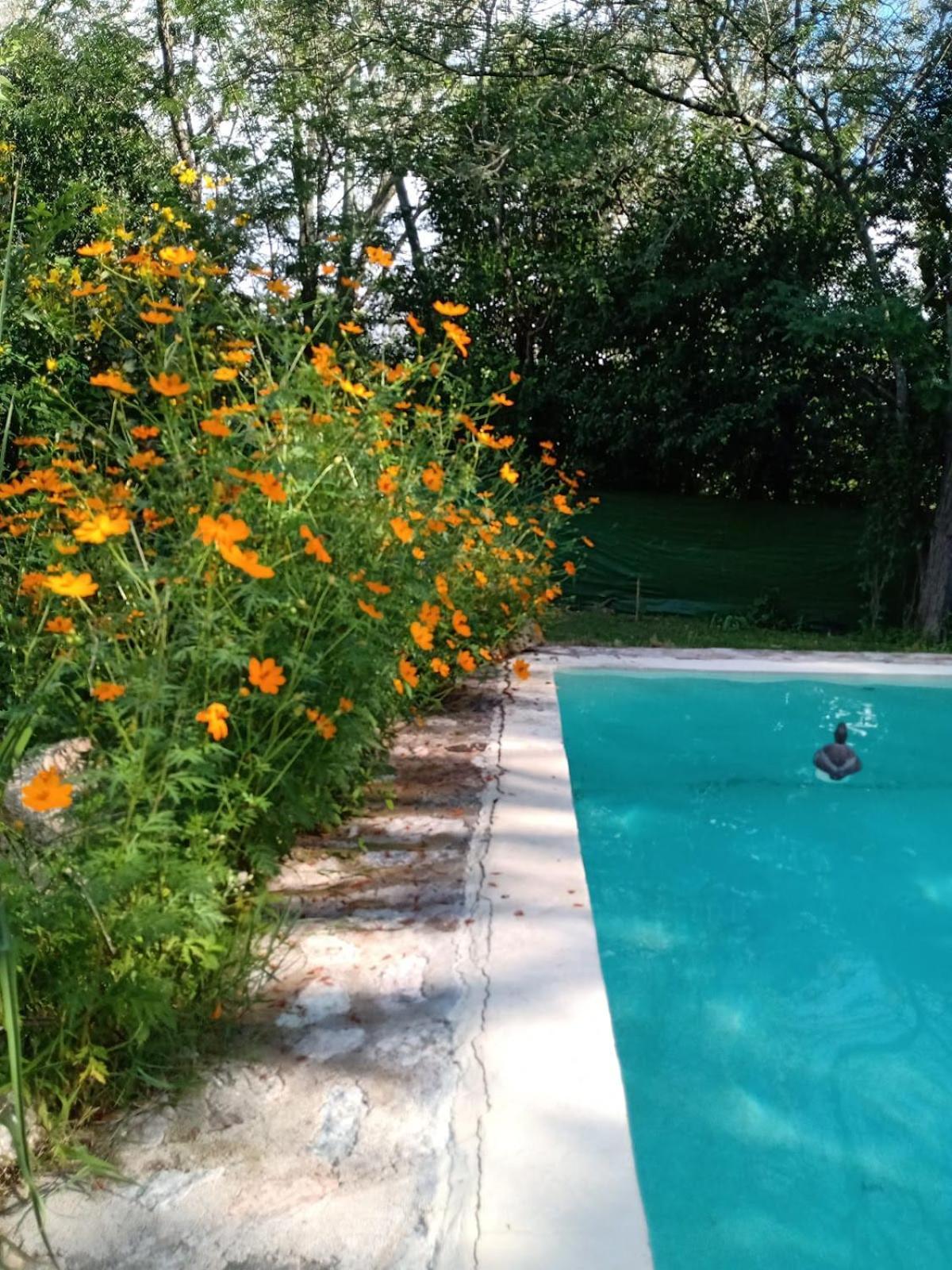 Villa La Isolina Villa Giardino Kültér fotó